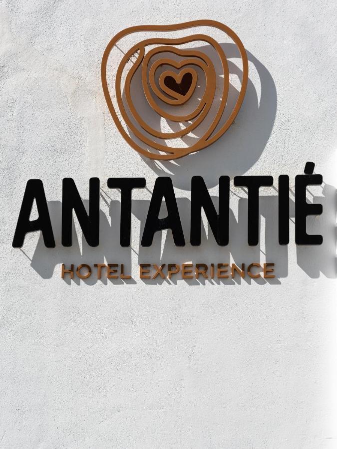 Hotel Antantie Кониль-де-ла-Фронтера Экстерьер фото